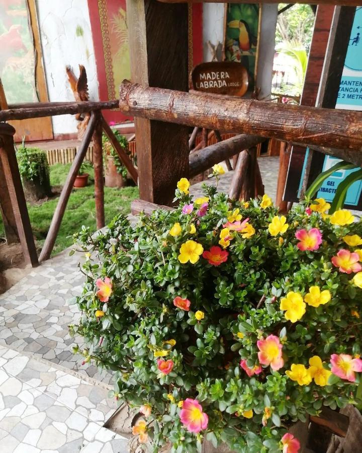 Madera Labrada Lodge Ecologico Tarapoto Esterno foto